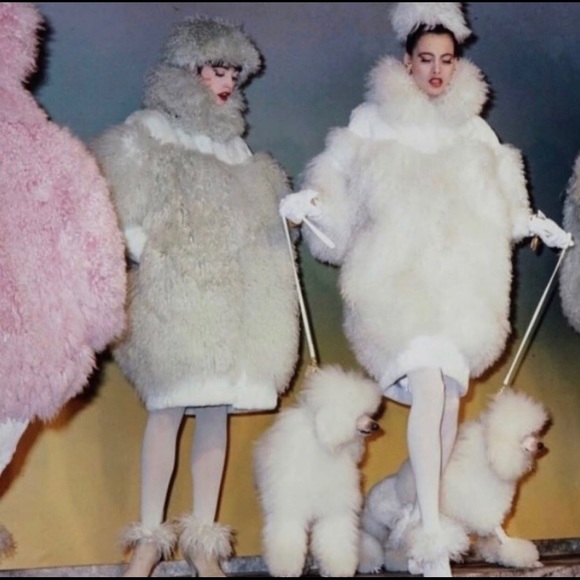 Meet your Posher, Eva - Picture 1 of 1